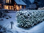 String light MagicHome Christmas, 200xLED, multi-color, 20 m