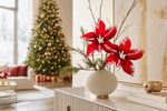 Christmas Flower MagicHome, poinsettia, red