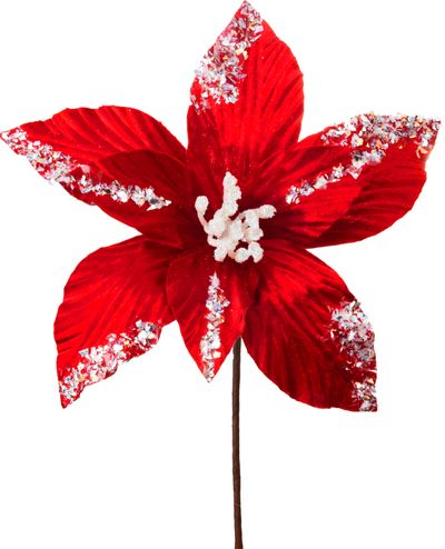 Christmas Flower MagicHome, poinsettia, red