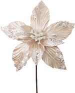 Christmas Flower MagicHome, poinsettia, champagne