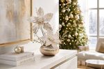 Christmas Flower MagicHome, poinsettia, champagne