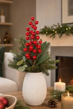 Christmas Flower MagicHome, skimmia, 30 cm
