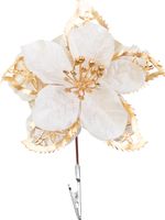 Flower MagicHome Christmas, poinsettia, cream
