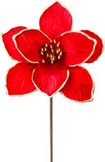 Flower MagicHome Christmas, magnolia, red