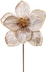 Flower MagicHome Christmas, magnolia, champagne