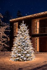 Chain MagicHome Christmas, simple lighting, 550xLED warm/cool white, IP44, 12.45 m