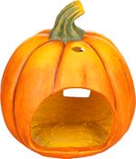 Decoration MagicHome Nature, pumpkin, magnesia, 21.5x22x23.5 cm