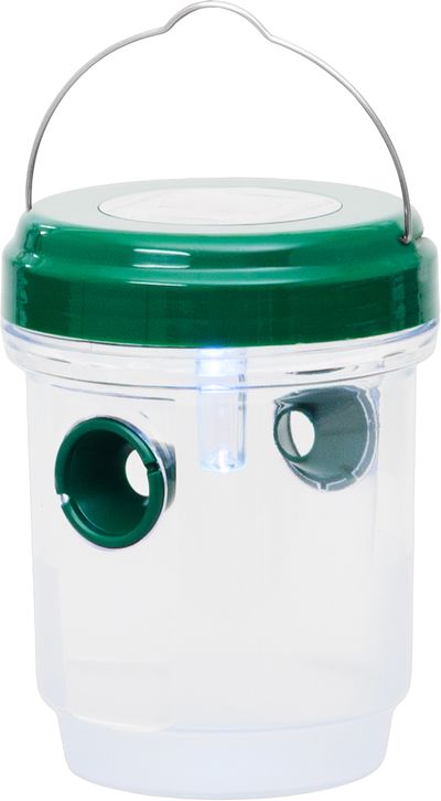 Insect Trap Strend Pro, solar