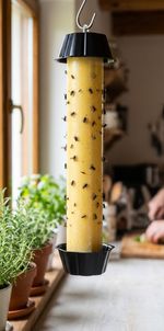 Ragacsos lap Strend Pro, tekercs, 6,5 x 26 cm