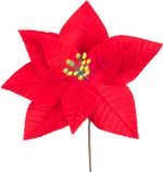 Kvet MagicHome Vianoce, Poinssetia, červená, 21 cm, veľkosť kvetu: 16,5 cm