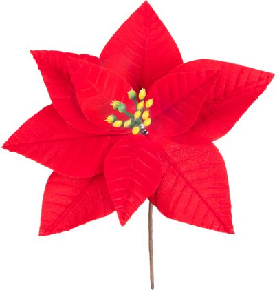 Flower MagicHome Christmas, red, 12 x 16 cm