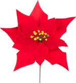 Kvet MagicHome Vianoce, Poinssetia, červená, 24 cm, veľkosť kvetu: 24 cm