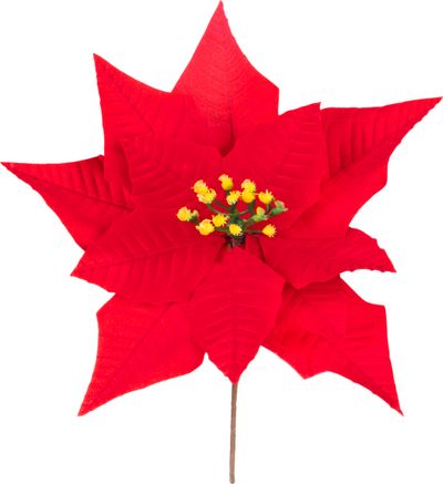 Flower MagicHome Christmas, red, 12 x 24 cm