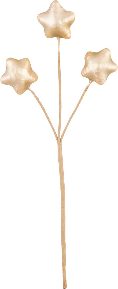 Flower MagicHome Christmas, golden, 8.5 cm