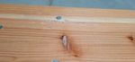 2nd CLASS Set beer DORTMUND Max, table 220x70x77 cm, 2x bench 220x25x47 cm, wood 27 mm